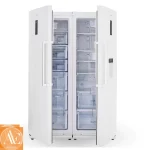 یخچال فریزر دوقلو 40 فوت دیپوینت مدل D5I